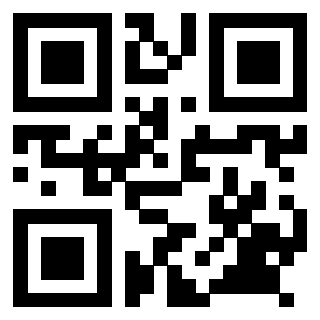 Il Qr Code di 3918929886