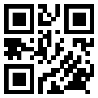 Il Qr Code di 3918929969