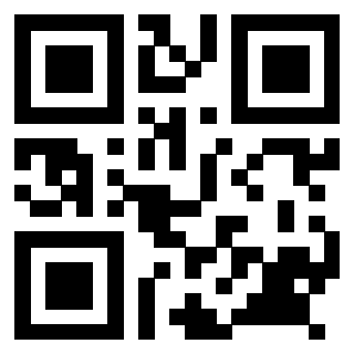 Il Qr Code di 3918930029