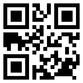 Il Qr Code di 3918930045