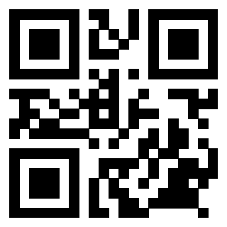 Il Qr Code di 3918984349