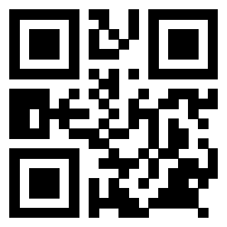 Il Qr Code di 3918984611