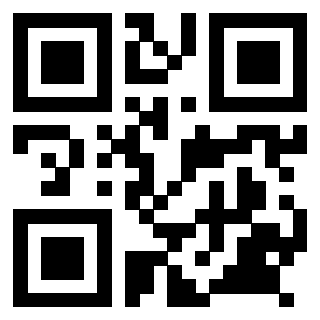 Il Qr Code di 3918984835