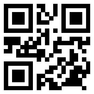 Il Qr Code di 3918984889