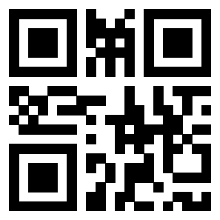 Il Qr Code di 3918985593