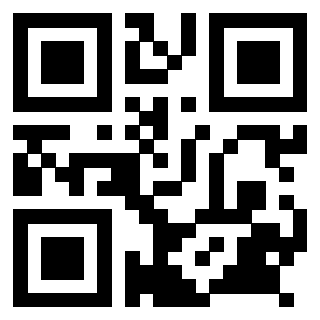 Il Qr Code di 3918986074