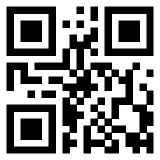 Il Qr Code di 3919058074