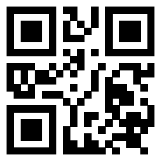 3919058076 QrCode associato