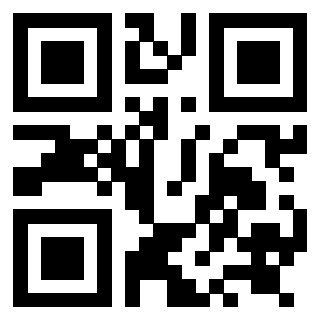 Il Qr Code di 3919058079