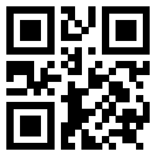 3919058081 Qr Code associato