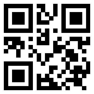 3919058082 QrCode associato
