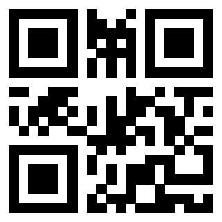 3919058089 QrCode associato