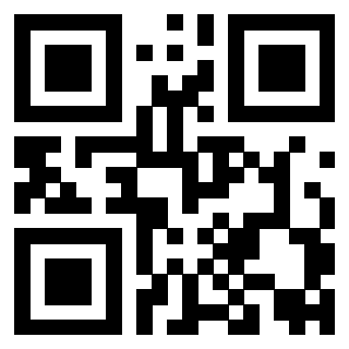 Il Qr Code di 3919058091