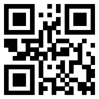 3919058106 Qr Code associato