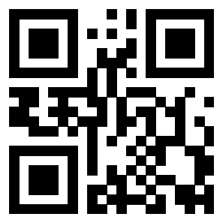 3919058110 QrCode associato