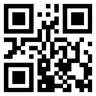 Il Qr Code di 3919058113