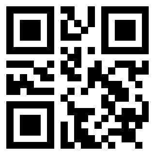 3919058116 Qr Code associato