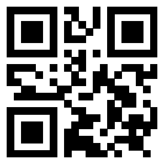 3919058117 QrCode associato