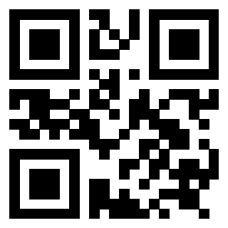 Il Qr Code di 3919058119