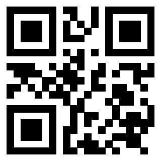 3919058132 QrCode associato