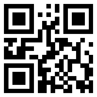 Il Qr Code di 3919058206