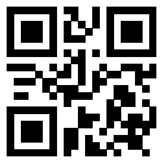 Il Qr Code di 3919058207