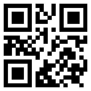 3919058211 QrCode associato