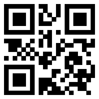 Il Qr Code di 3919058216