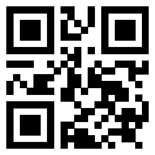 3919058234 Qr Code associato