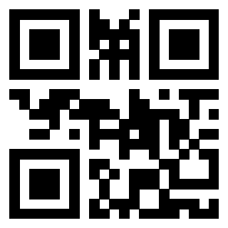 Il Qr Code di 3919058244
