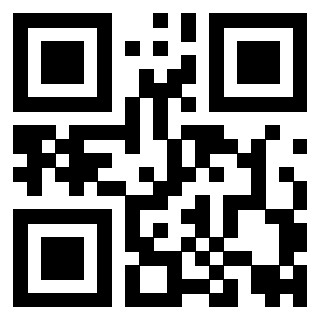 Il QrCode di 3919058256