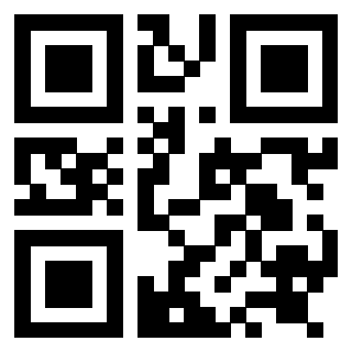 Il Qr Code di 3919058268