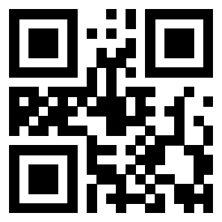 3919058311 QrCode associato