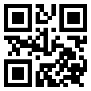 QrCode di 3919058341
