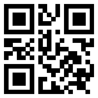 Il Qr Code di 3919058349