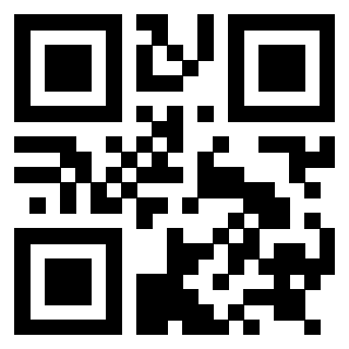 Il Qr Code di 3919058351