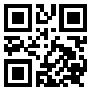 Il Qr Code di 3919058370