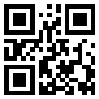 Il Qr Code di 3919058383