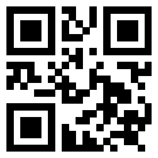 Il Qr Code di 3919058385