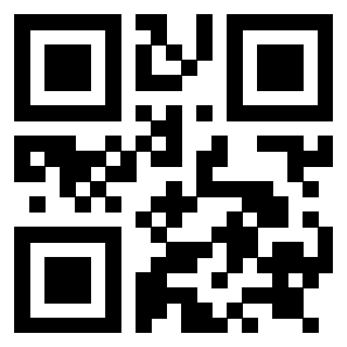 Il Qr Code di 3919058405