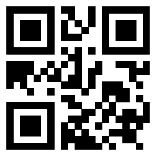 Il Qr Code di 3919058431