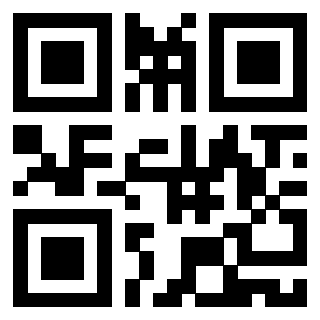 Il Qr Code di 3919058432