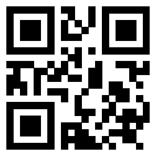 Il Qr Code di 3919058443