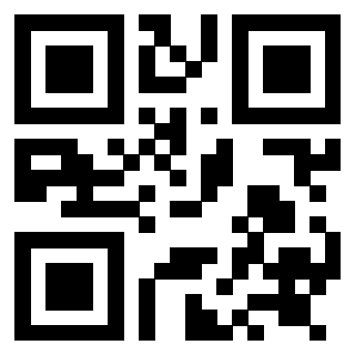Il Qr Code di 3919058463