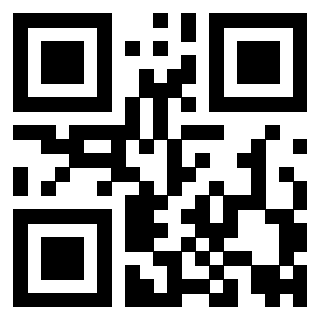 Il Qr Code di 3919058467
