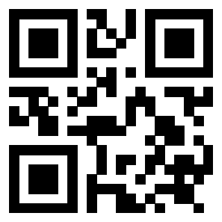 QrCode di 3919058513