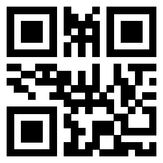 Il Qr Code di 3919058544