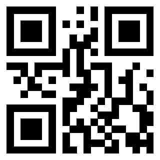 Il Qr Code di 3919058555