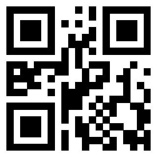 Il Qr Code di 3919058580