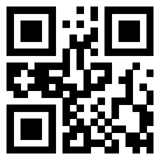 Il Qr Code di 3919058584